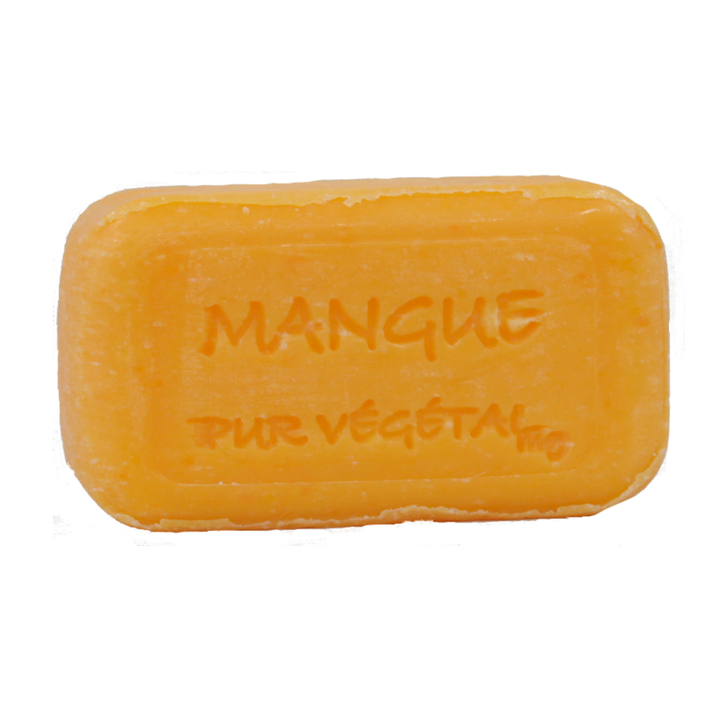 マンゴー 100g
