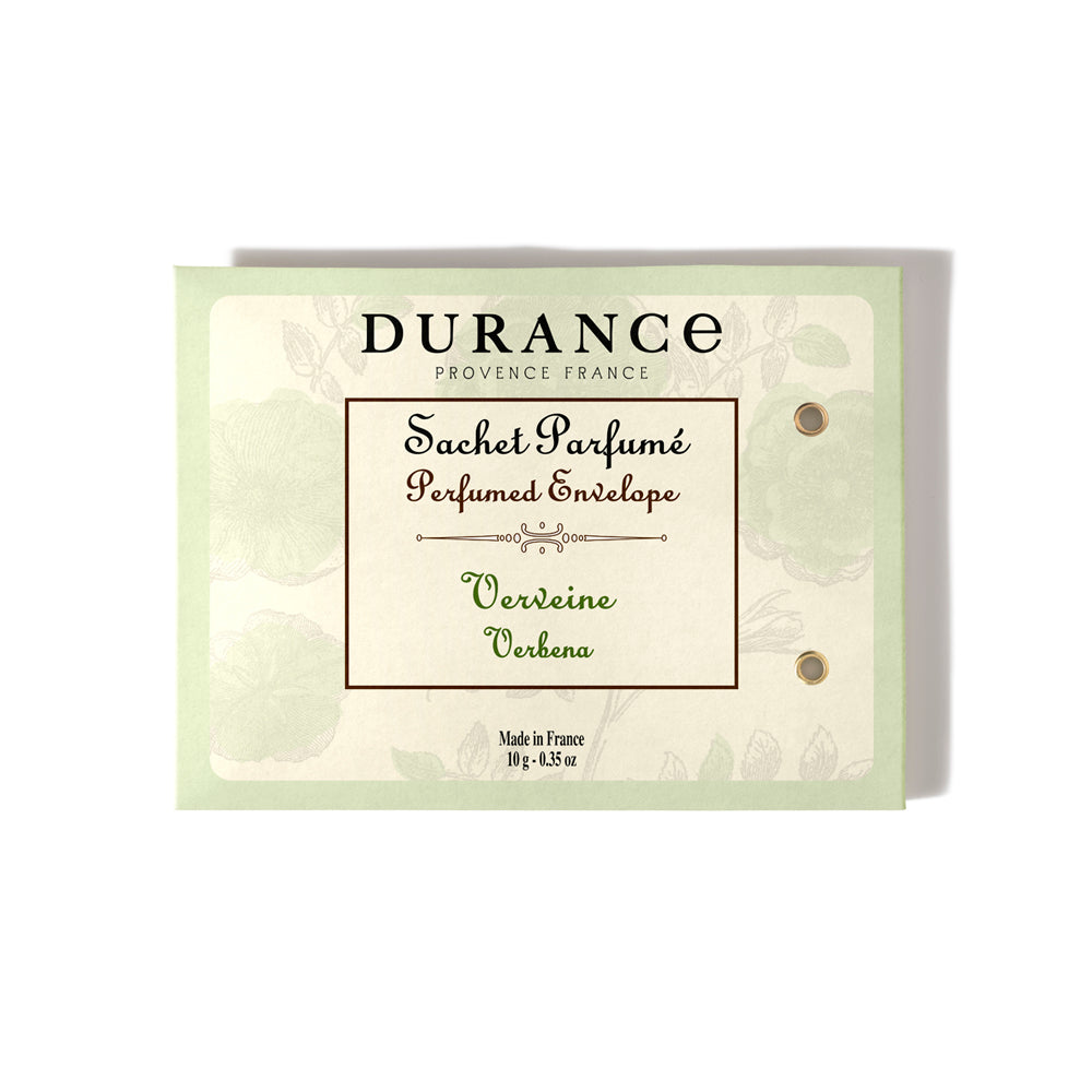 1584| ベルベーヌ