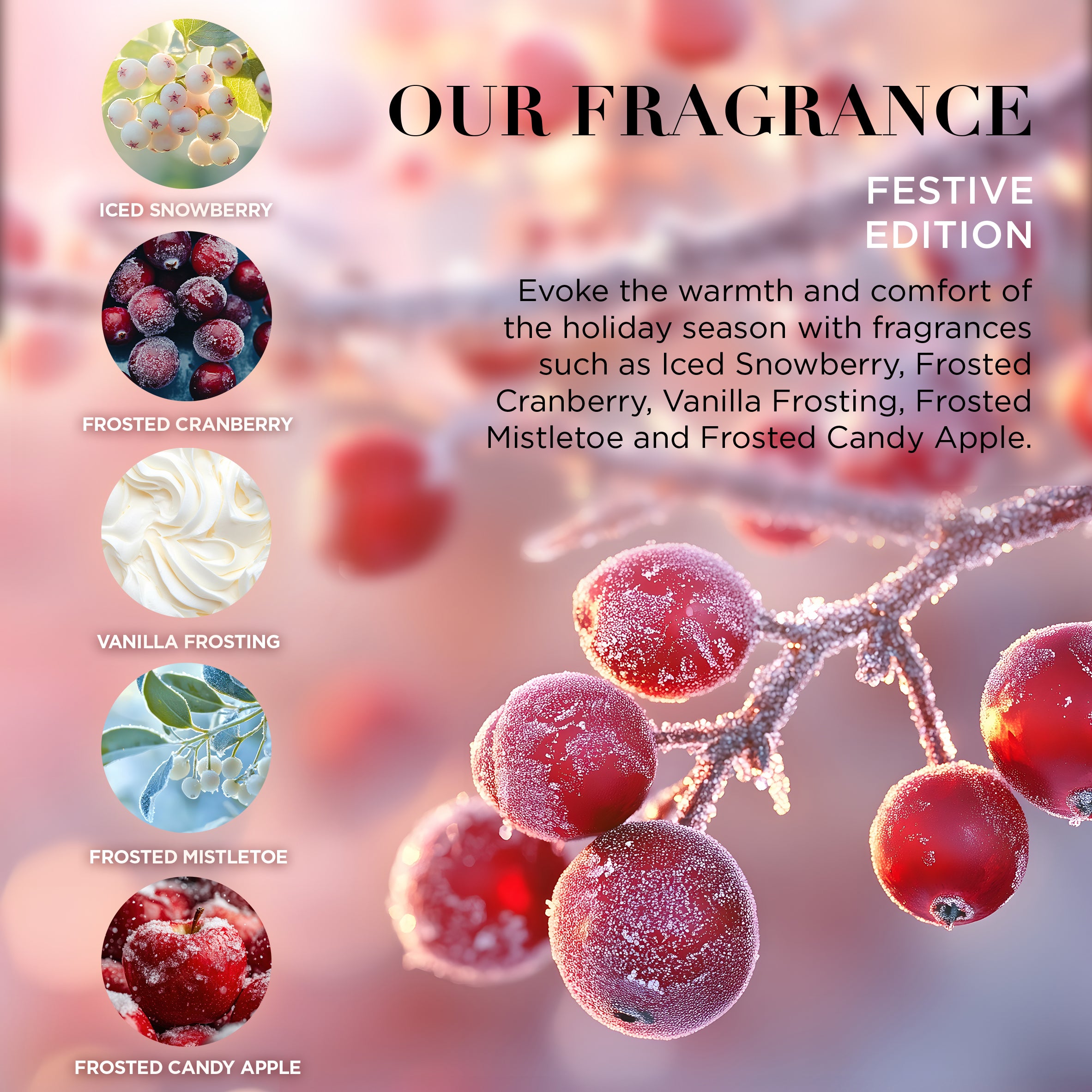 ホリデー限定の香り