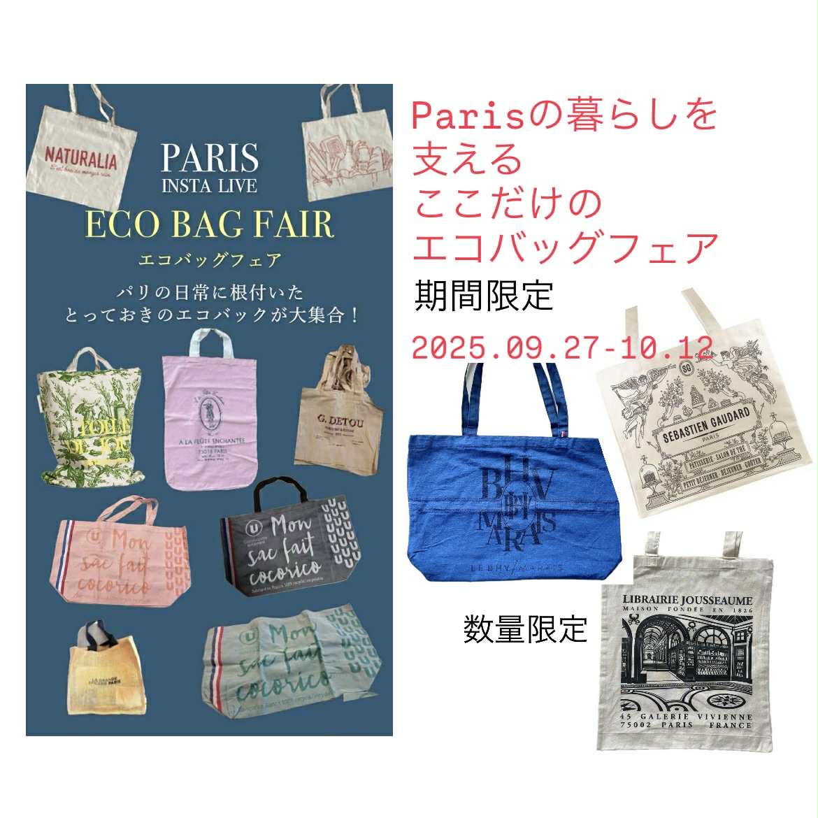 Paris Bag