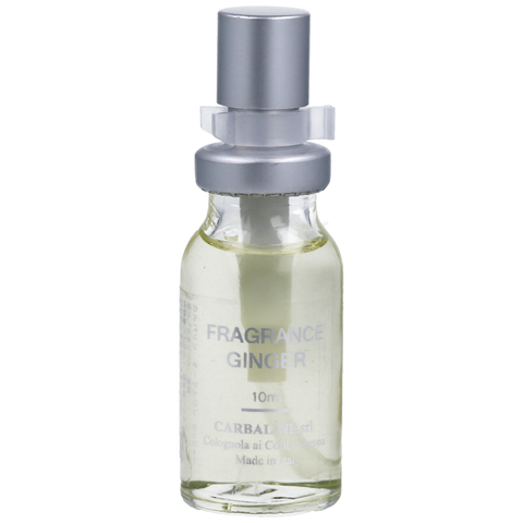 6110| ジンジャー  10ml