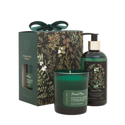 豪華な2点セット