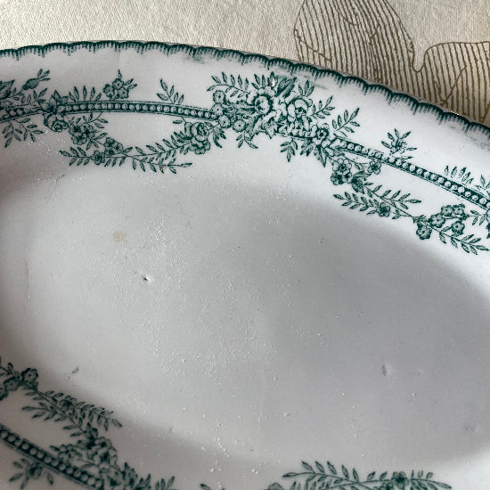 No17 ラビエ：ｸﾞﾘｰﾝﾛｰｽﾞ