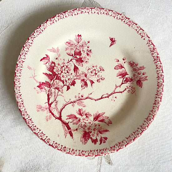 No5 赤ジアンケーキプレート