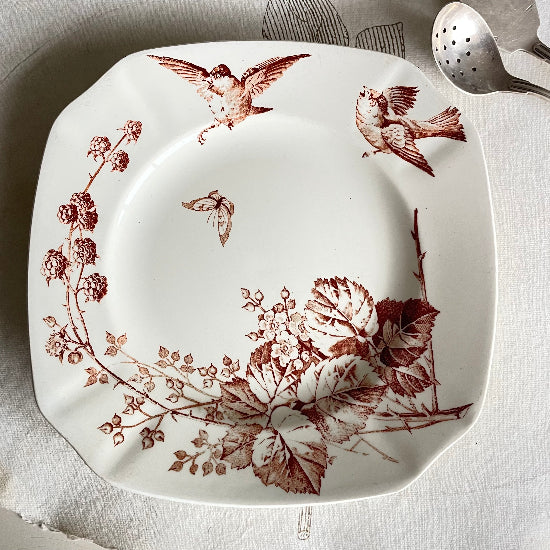 No9 茶鳥/蝶々きいちごを舞うケーキプレートC