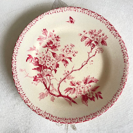 No4 赤ジアンケーキプレート