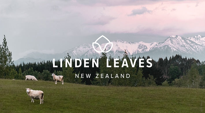 LINDEN LEAVES｜エフィと香りの暮らし